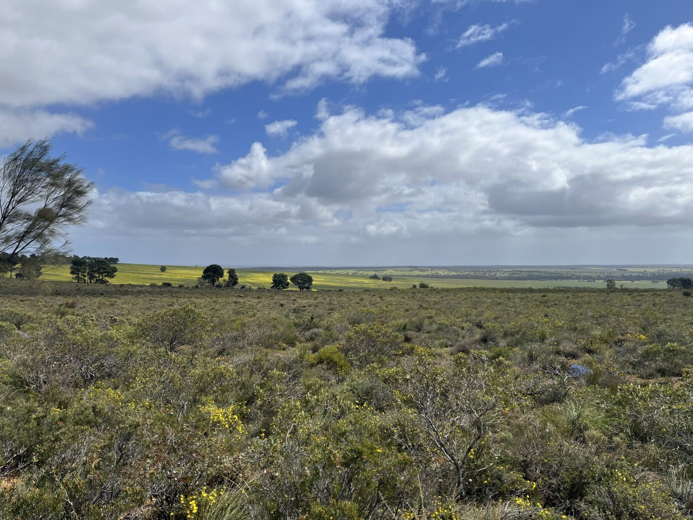 Waddi Wind Farm